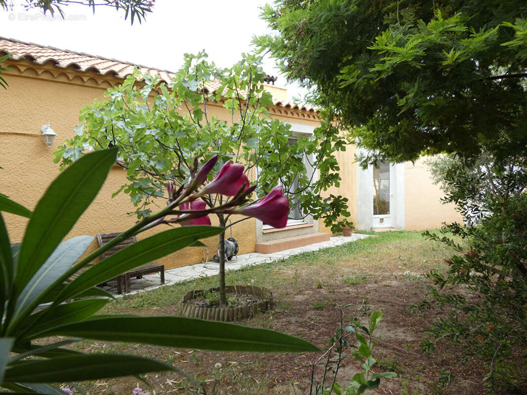 Maison à ARMISSAN