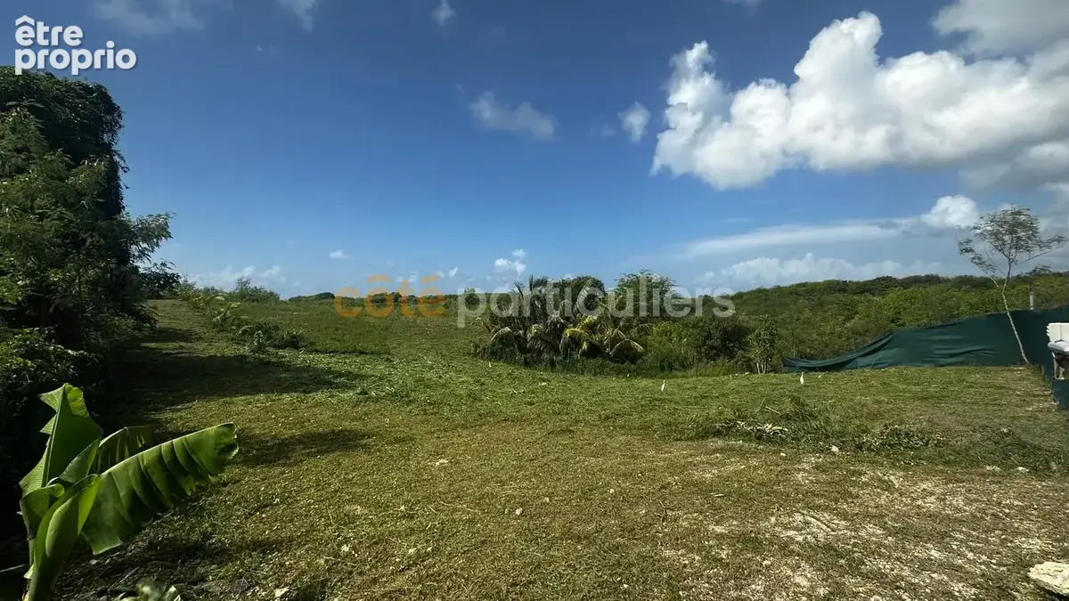 Terrain à bâtir de 779 m² gissac st anne - photo 2
