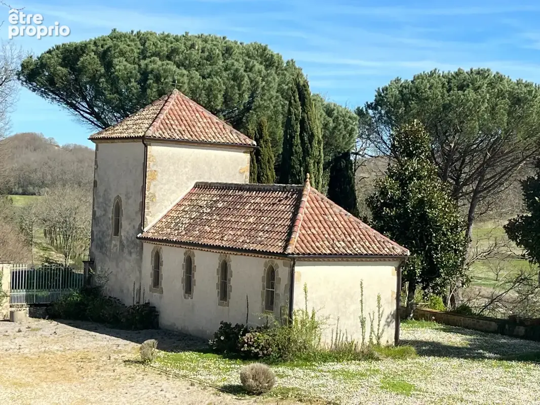 Élégant château du XIXᵉ siècle sur 70 ha, vue panoramique sur les Pyrénées, à 1h30 de Toulouse-Blagnac - photo 7