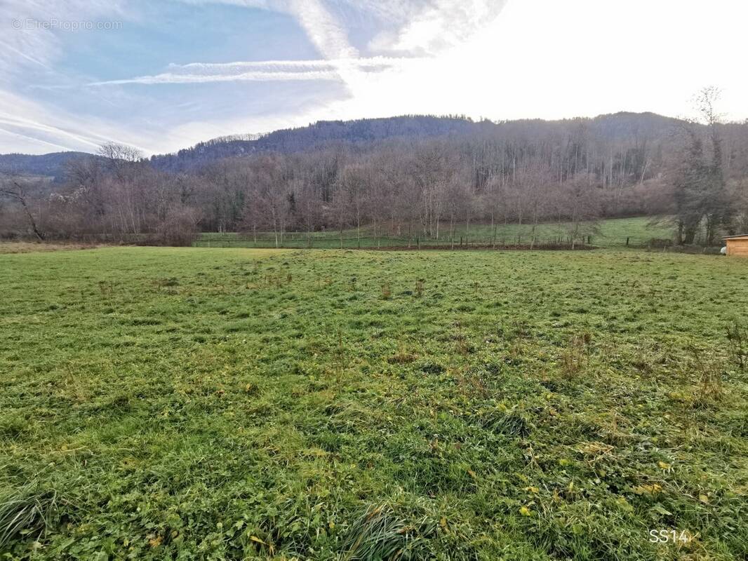 Terrain à CERVENS