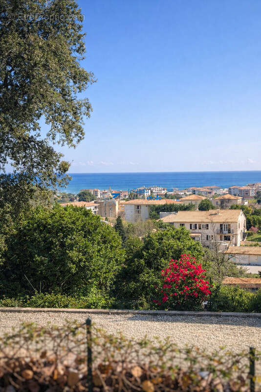 Appartement à SAN-NICOLAO