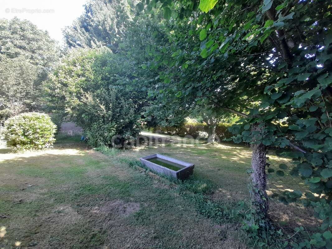 Maison à vendre 4 pièces PLOGONNEC (29180)- Surface habitable 131.82 m2 -parcelle de 13963m2 + bois de 9018m2- Dépendances - photo 9