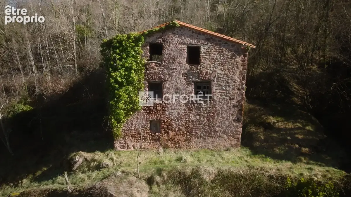 Ruine 76m²/4110m² - Lamanère - photo 4