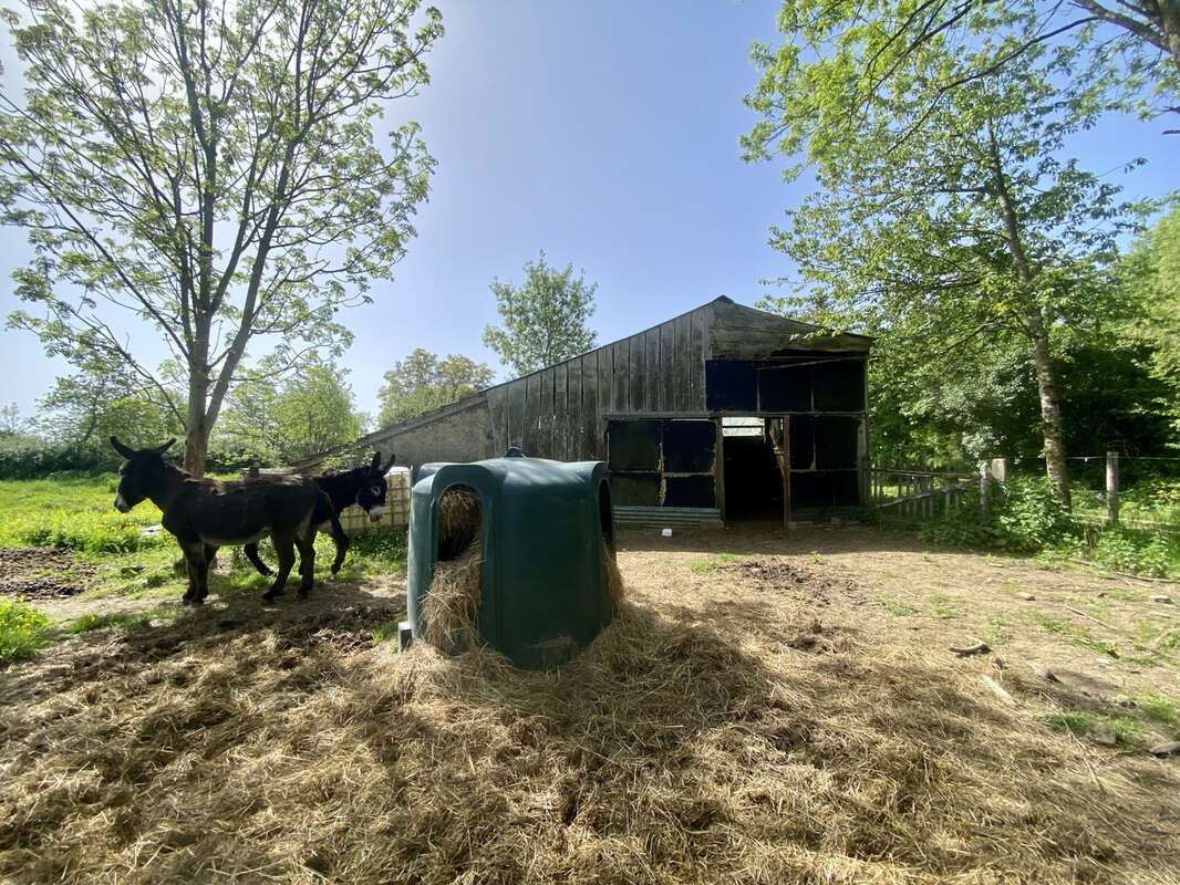 Maison à GANNAY-SUR-LOIRE