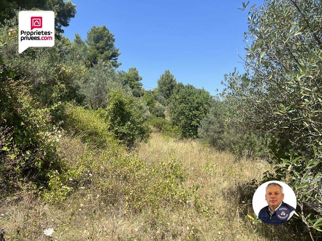 Terrain  5626 m2 DIVISIBLE - photo 3