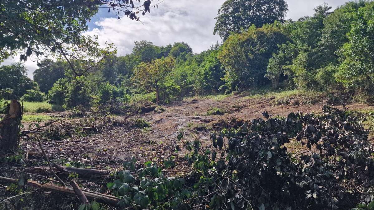 Terrain à LES ABYMES