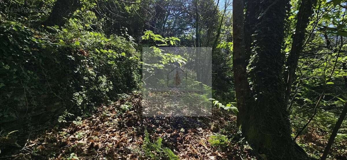 Terrain à LE COLLET-DE-DEZE