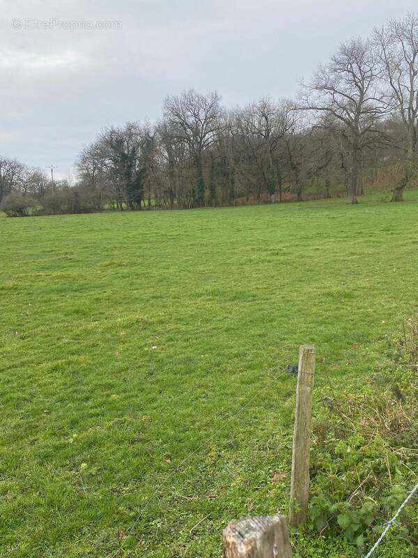Terrain à CLERMONT-FERRAND