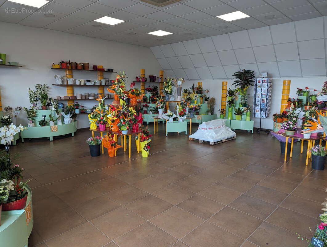 Commerce à AMILLY