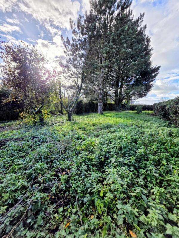 Maison à ECHAUFFOUR