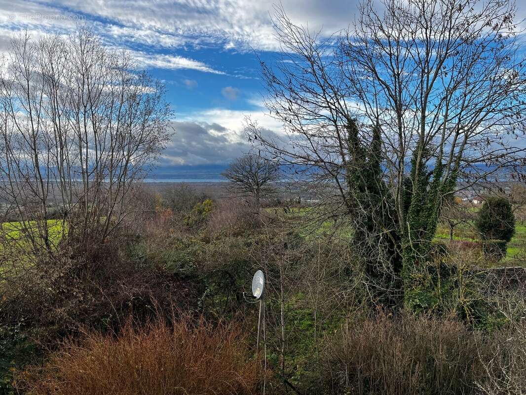 Maison 450 m² à Douvaine  - photo 8