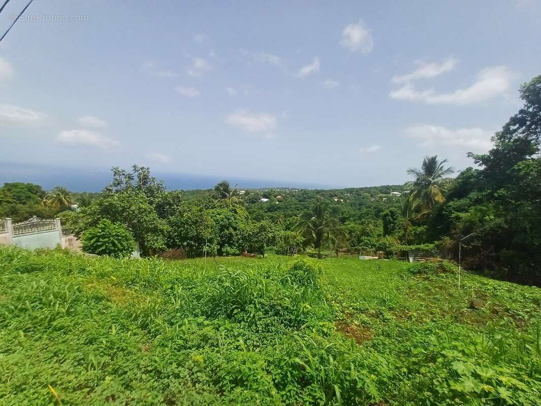 Terrain à vendre de 1 056,00 m² BAILLIF (971) - photo 3