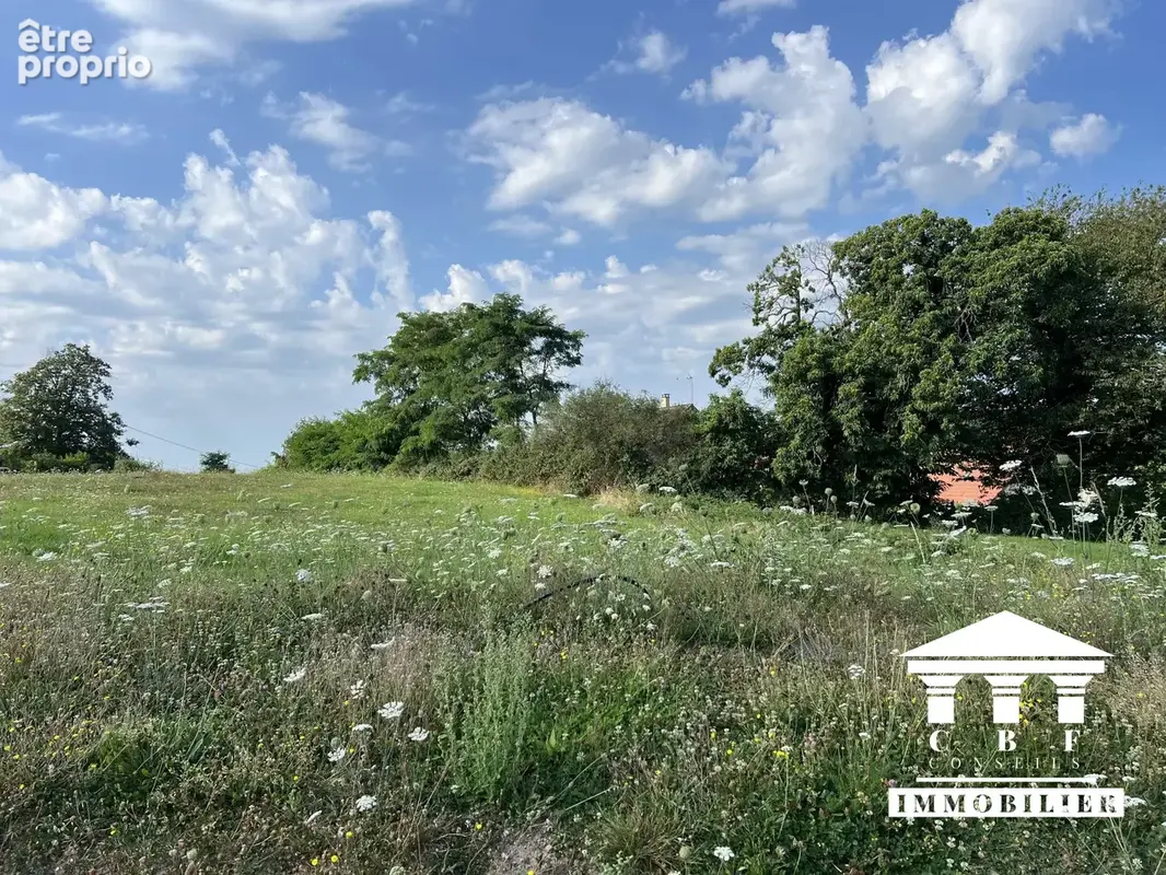 Terrain 783 m² à vendre à Saint-Sernin-Du-Bois (71200) - photo 4