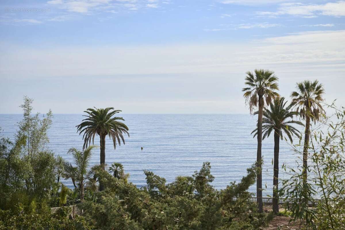 Cannes palm beach beau 4  pieces vue mer - photo 3