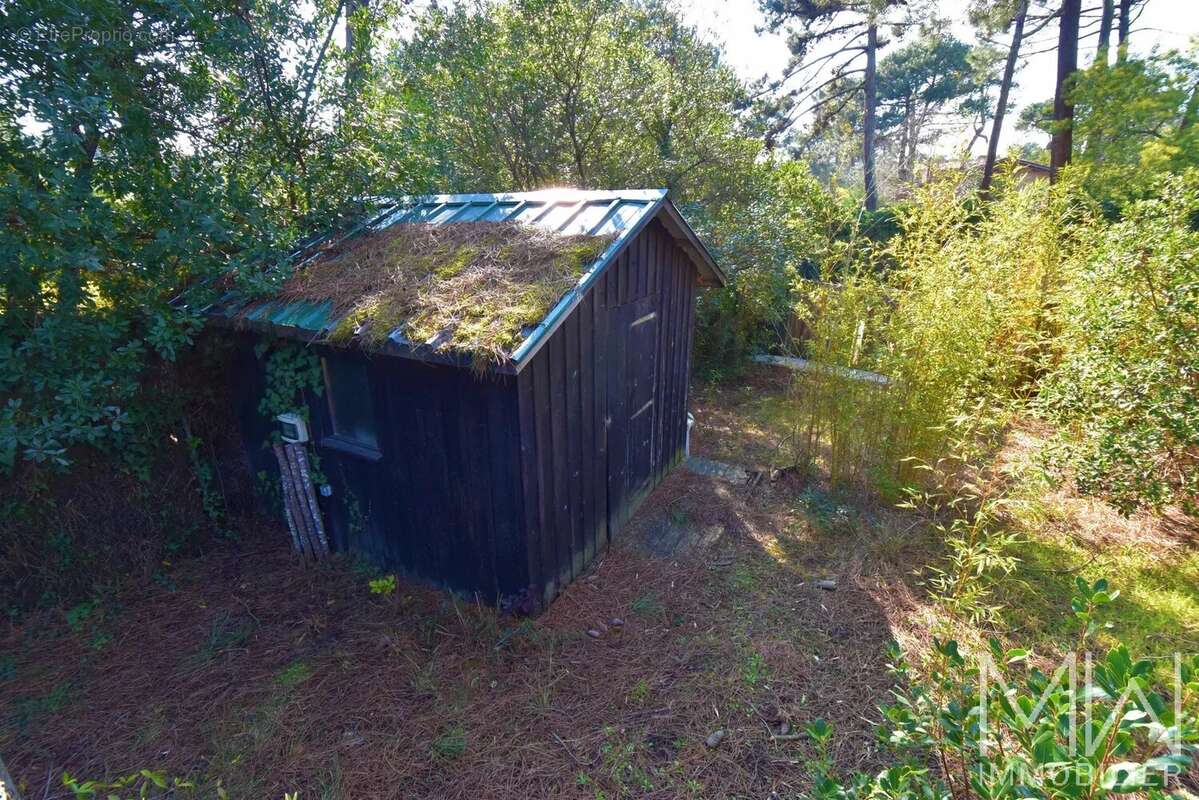 Maison à LEGE-CAP-FERRET