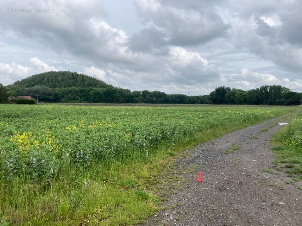 Terrain à LILLE