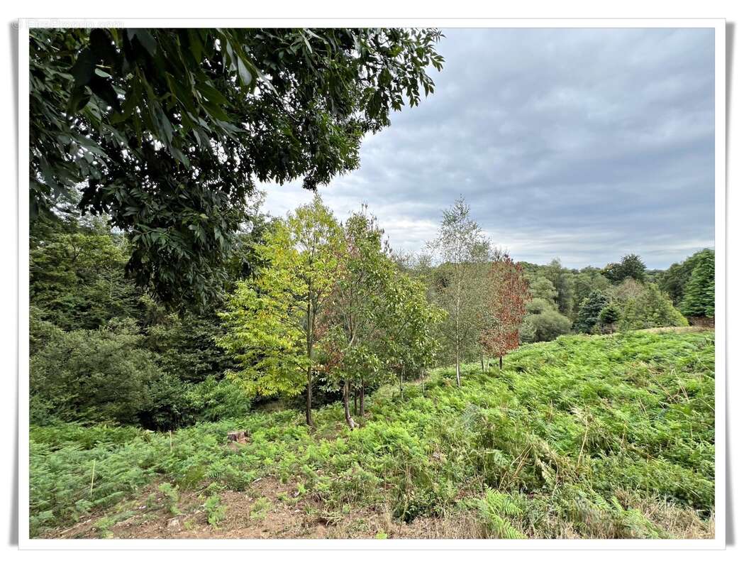 Maison à vendre 6 pièces PLUMELIAU (56) Propriété en pierre au cœur de la nature – Un cadre de vie enchanteur - photo 31