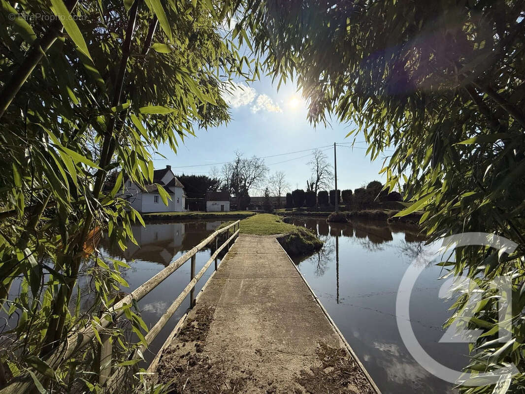 Maison à VILLENEUVE-SUR-ALLIER