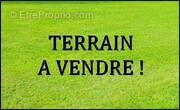 Terrain à SAINT-HILAIRE-LES-ANDRESIS