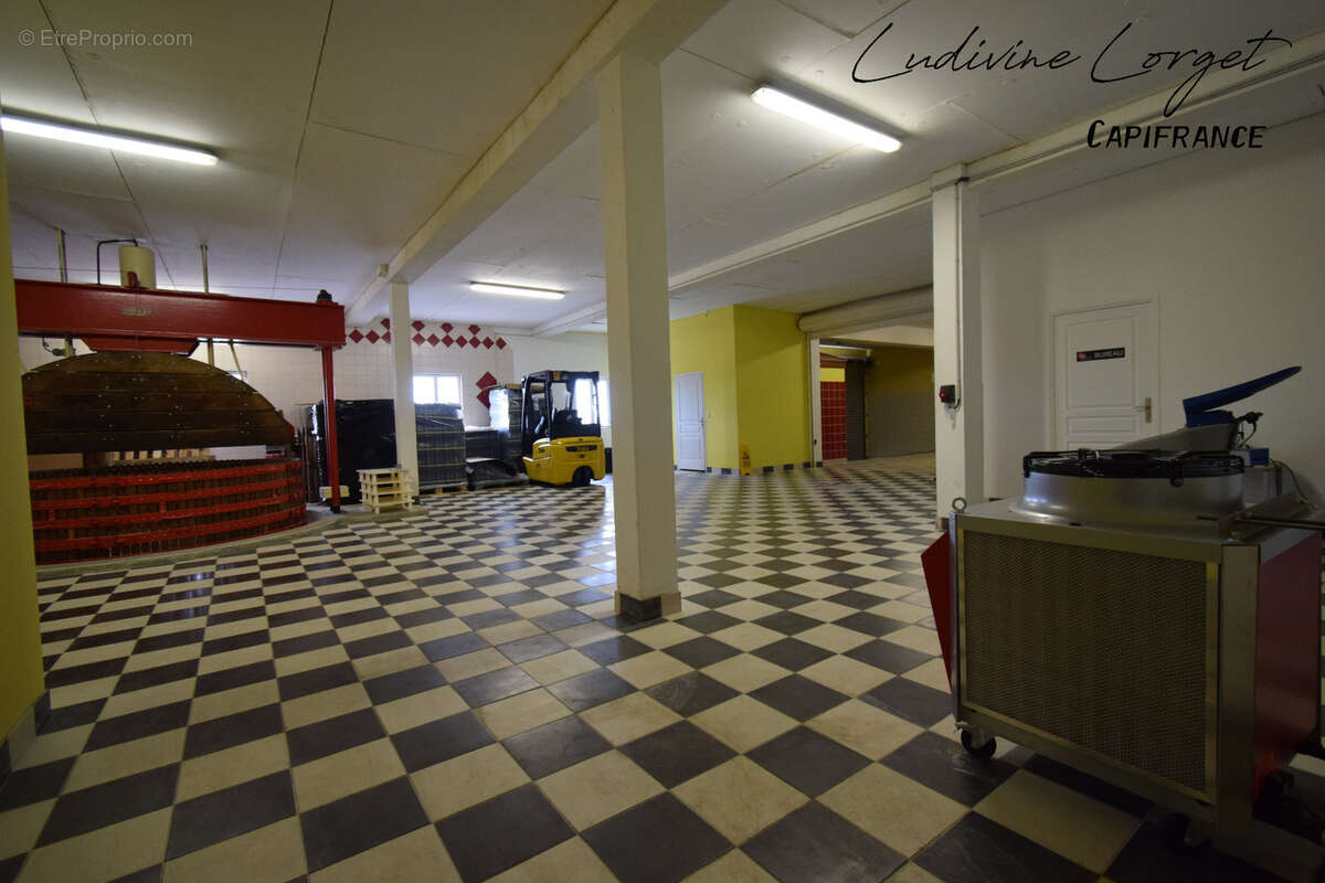 A vendre Local professionnel loué /bureau proche de EPERNAY (51)À vendre – Pressoir - cuverie -stockage -bureaux – 423m2 - photo 2
