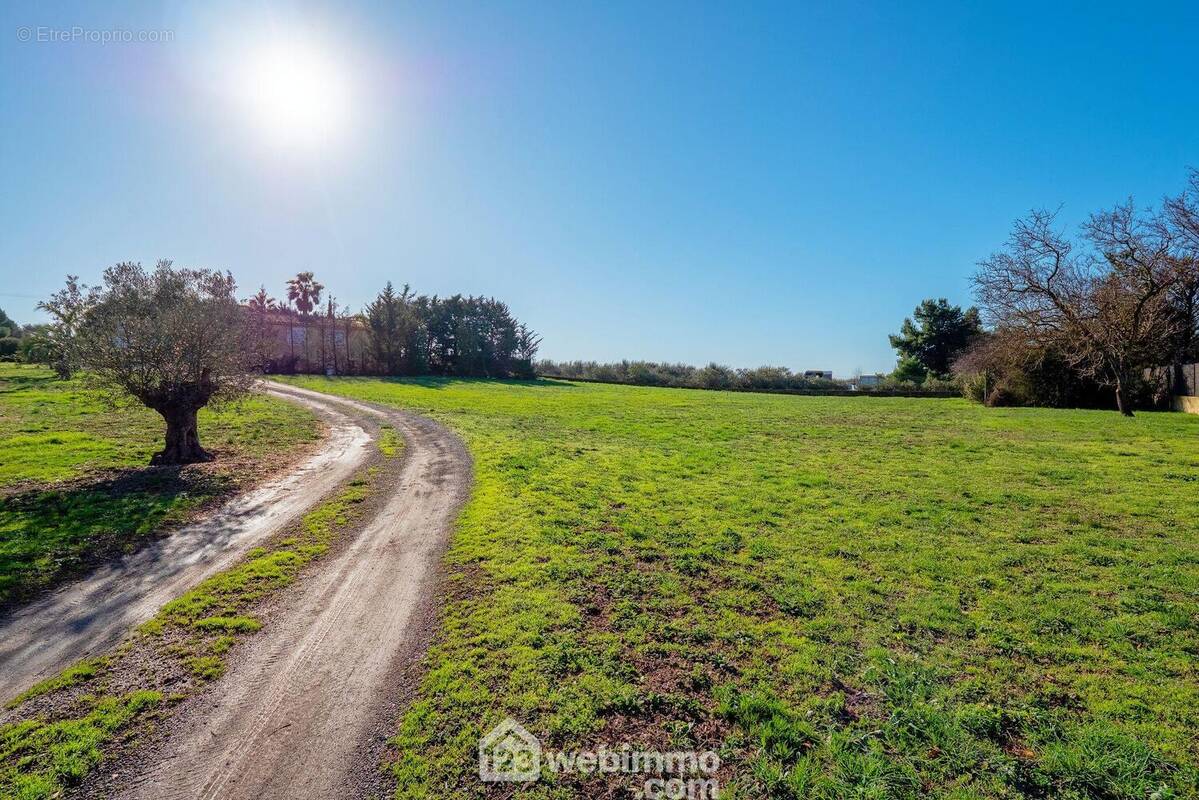 Une seule parcelle de 4 077 m², ou bien 2 parcelles de 2 000 et 2 077 m² constructibles, avec accès distincts... - Terrain à AGDE