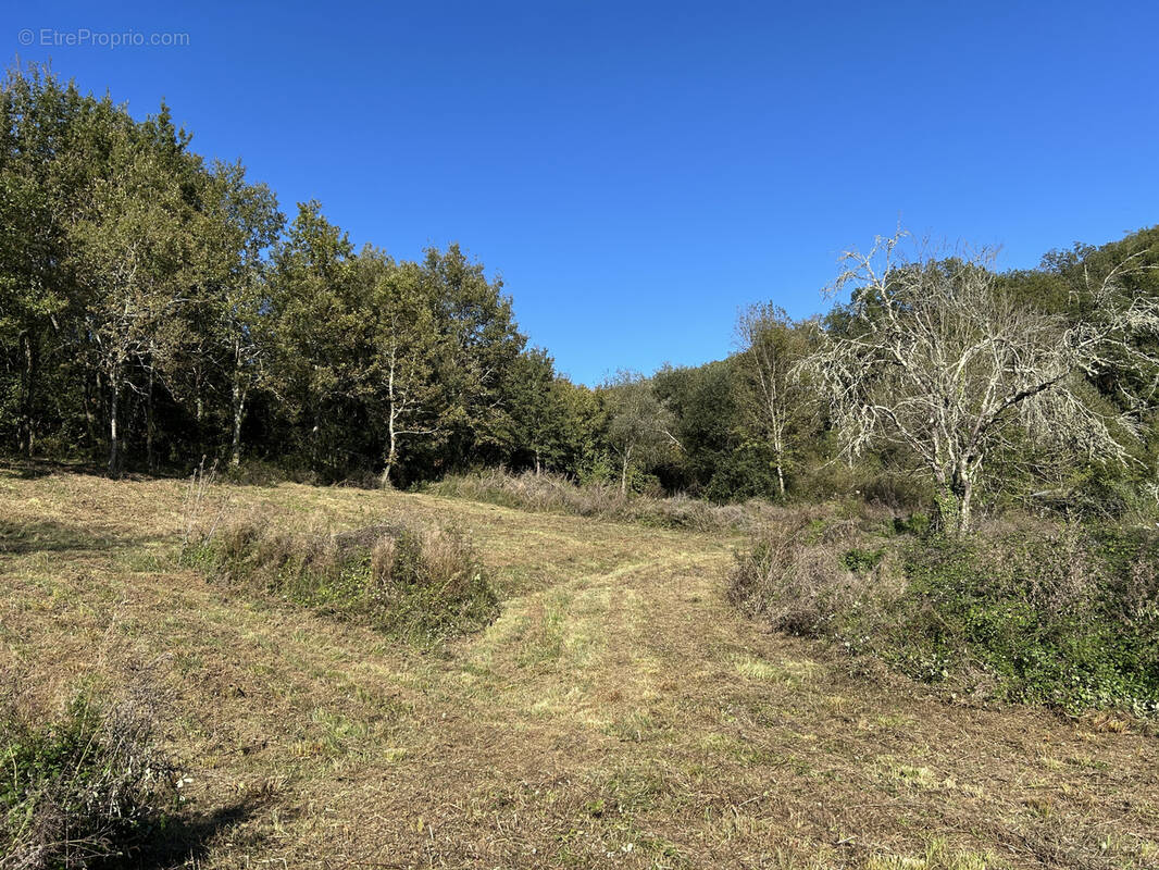 Terrain à LISSAC-SUR-COUZE