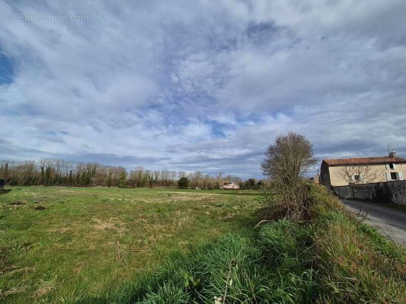 Terrain à FRONTENAY-ROHAN-ROHAN