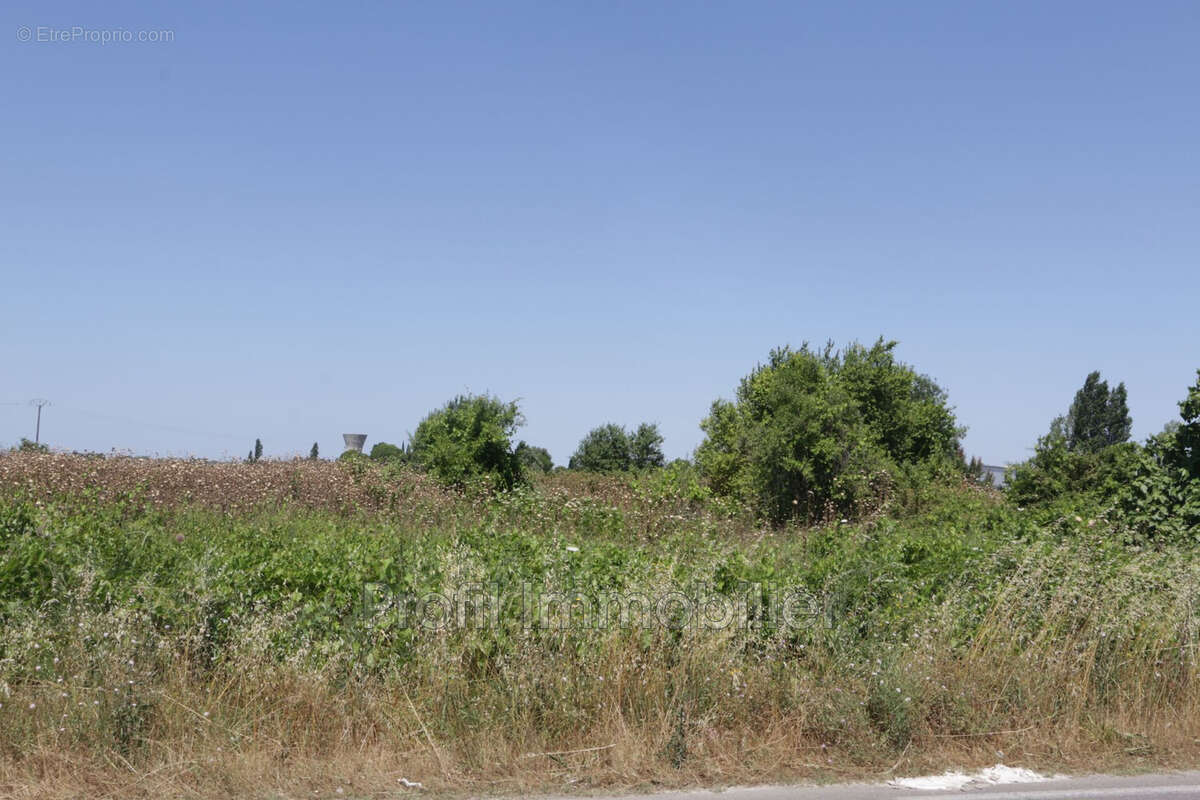 Terrain à MARSILLARGUES