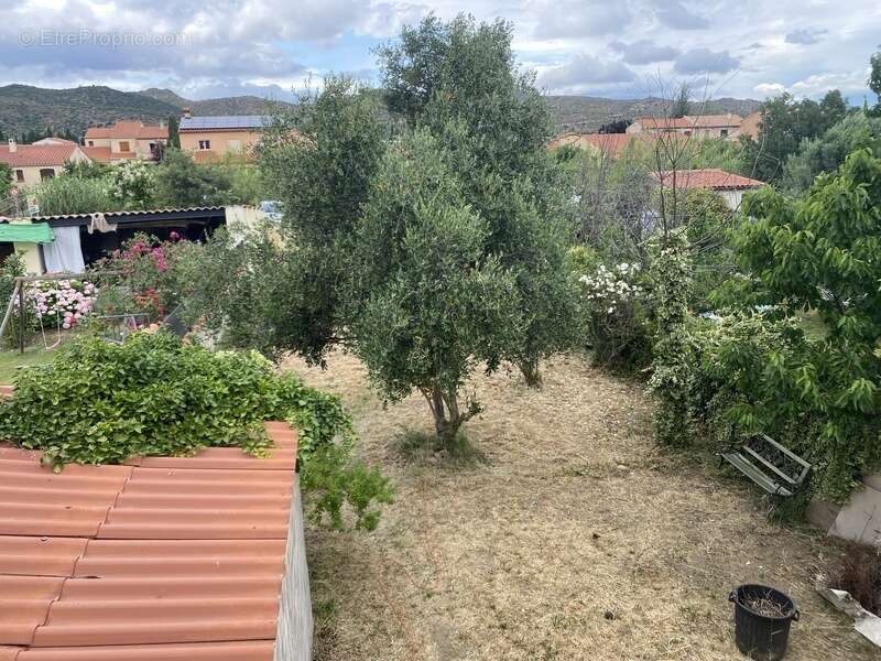 Dpt Pyrénées Orientales (66), à vendre BOULETERNERE Maison 5 pièces sur terrain 380 m², terrasse, garage - photo 10