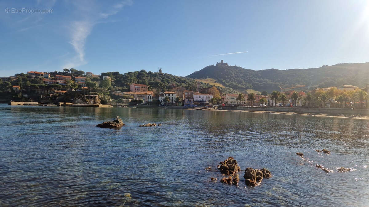 Commerce à COLLIOURE