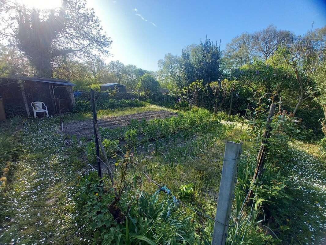 Commerce à BOURG-CHARENTE