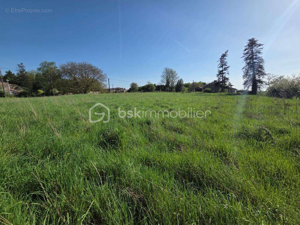 Terrain 1350m2 - photo 4