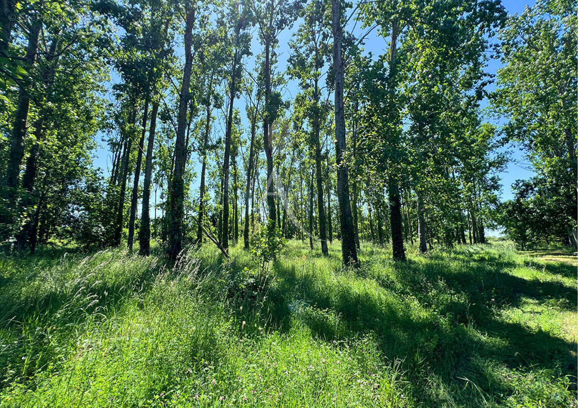 Ensemble immobilier sur un parc de 6 hectares ! - photo 5