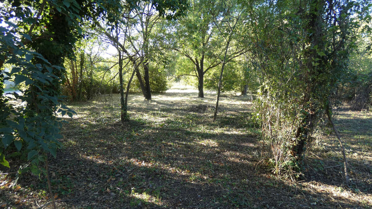 Maison à SOLLIES-PONT