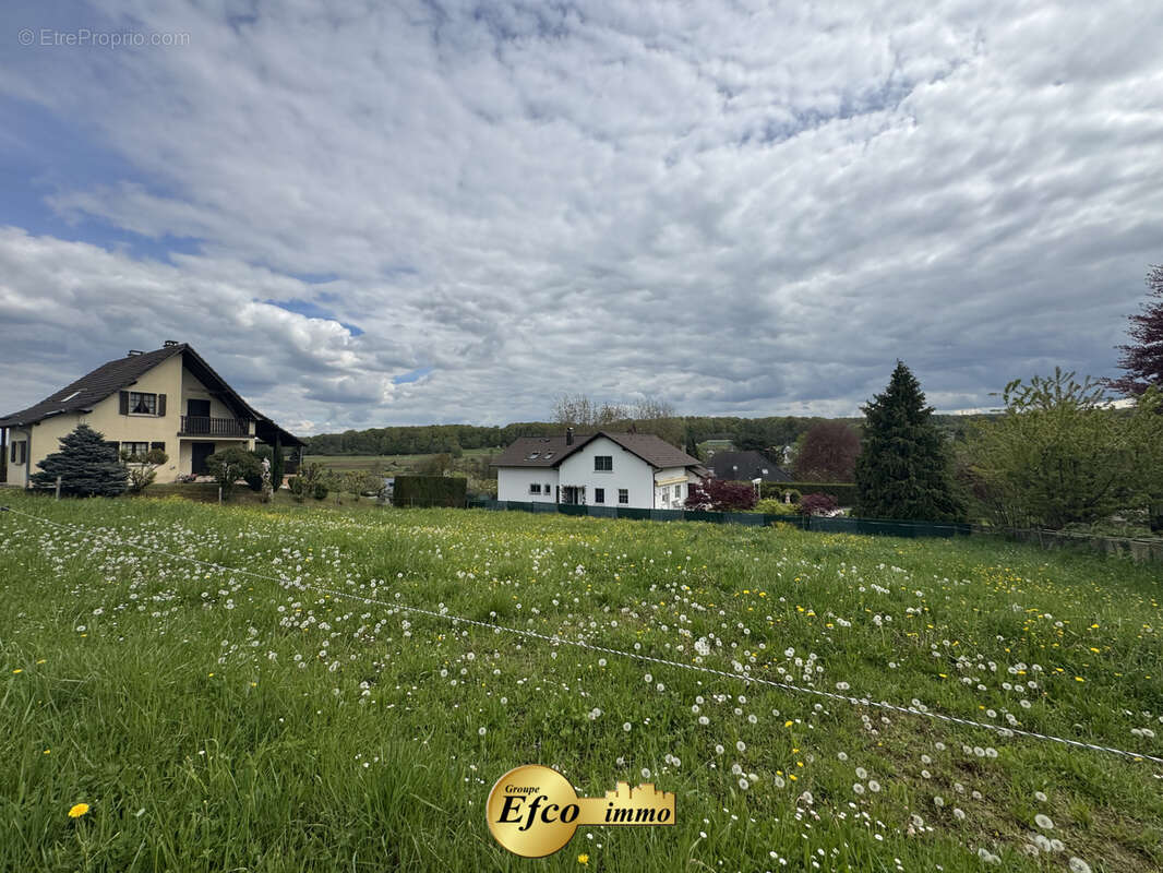 Terrain à NEUWILLER