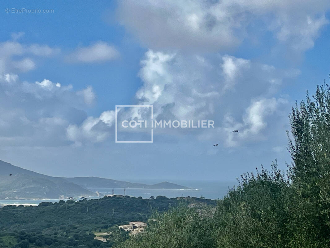 Terrain à VIGGIANELLO