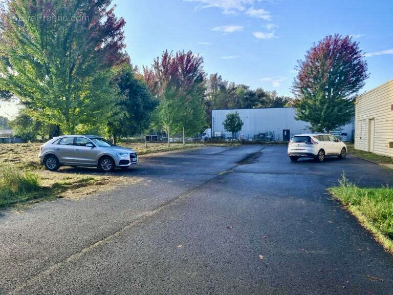 Commerce à SAINT-SEURIN-SUR-L'ISLE