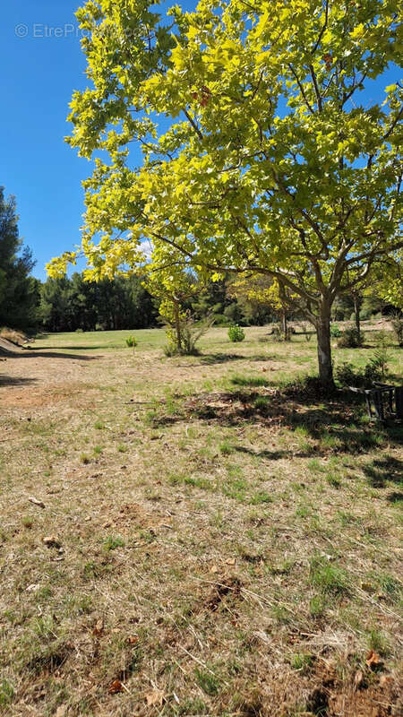 Terrain à SAINT-CYR-SUR-MER