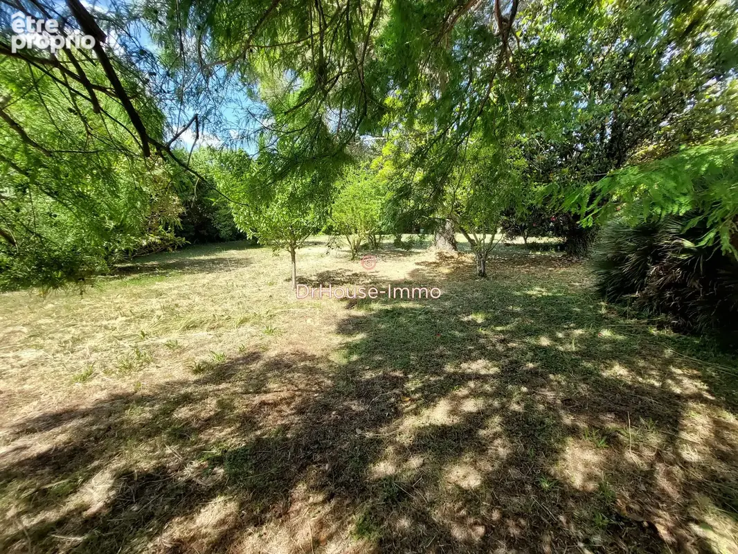 Terrain 2 700 m² à vendre à Mouries (13890) - photo 12