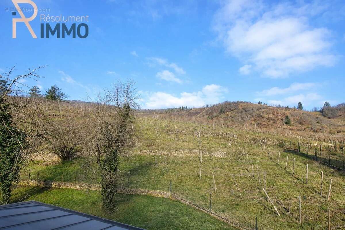 Maison à NIEDERMORSCHWIHR