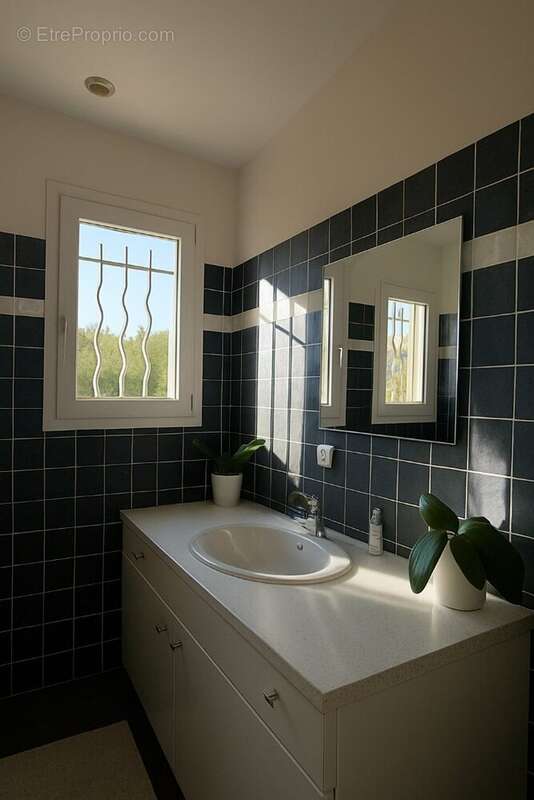 Maison à CHATEAUNEUF-VILLEVIEILLE