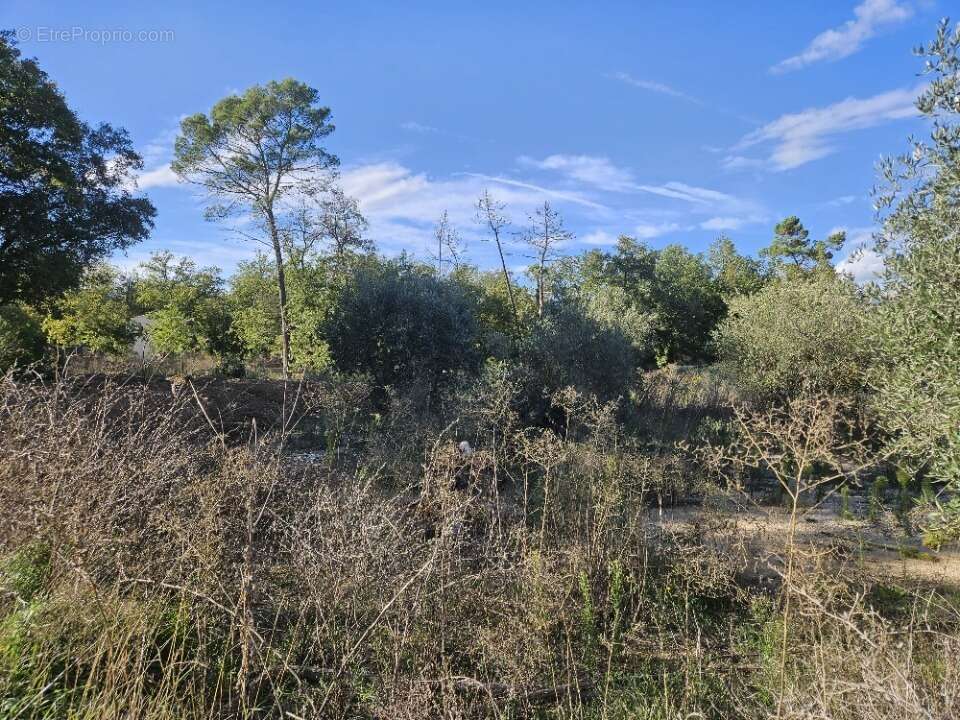 Terrain à CALLIAN