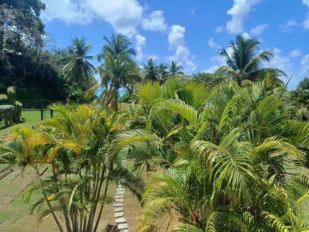 Appartement à LE GOSIER