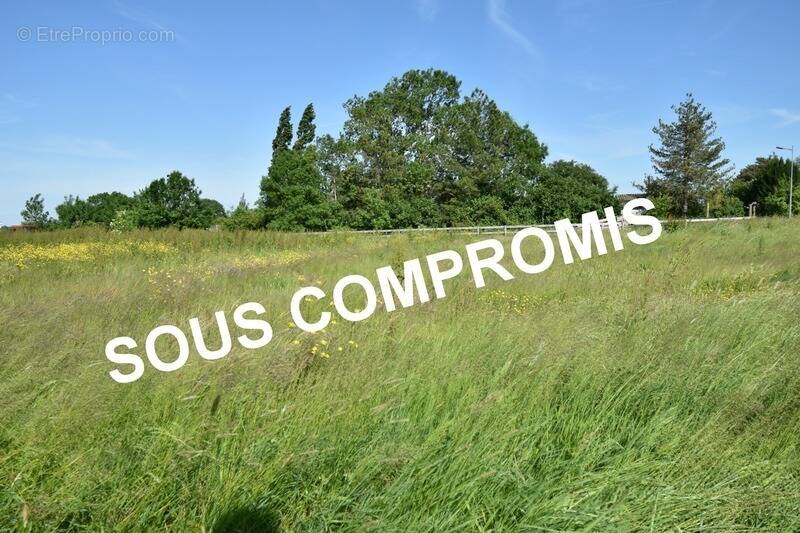 Terrain à SAINT-MARS-LA-JAILLE
