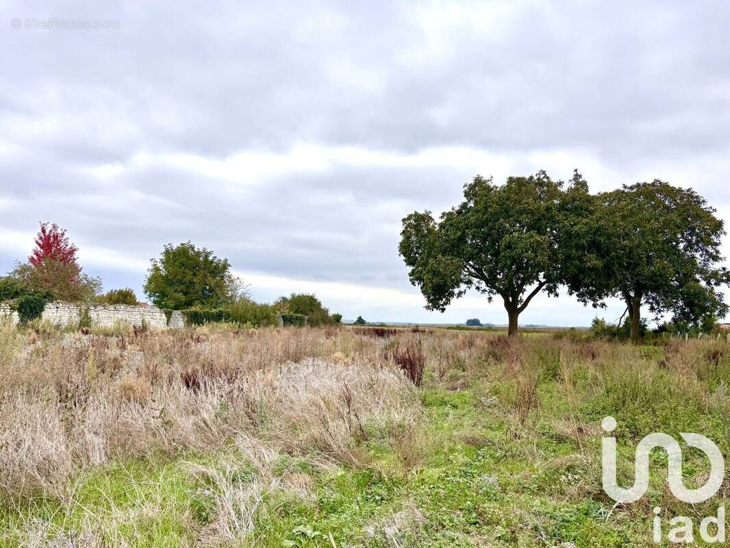 Photo 1 - Terrain à MENEVILLERS