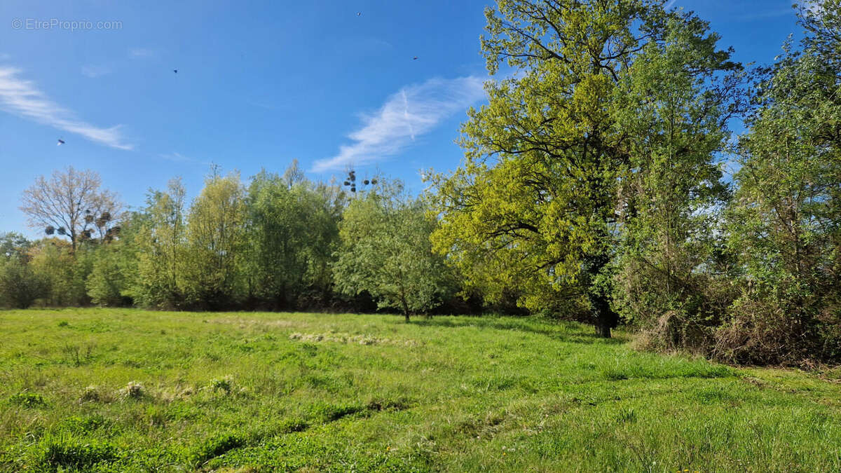 Terrain à MAINTENON