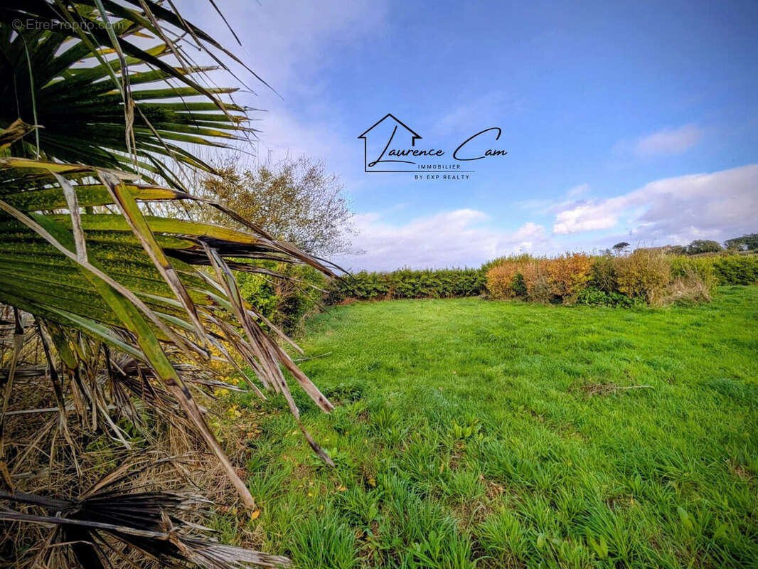 Terrain 1009 m² à Plouguerneau  - photo 6
