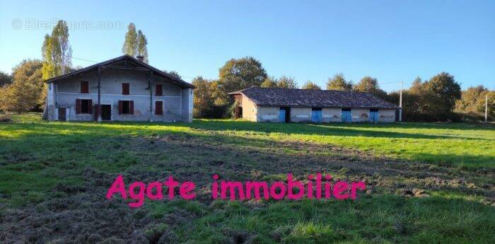 Maison à BAZAS