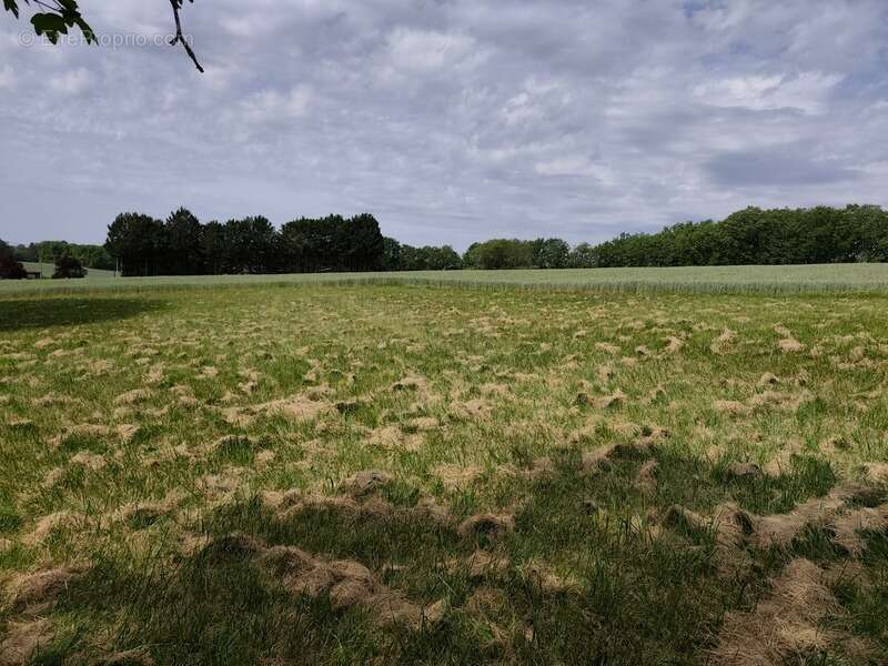 Grange à vendre 1 pièces VARAIGNES (24) - photo 15