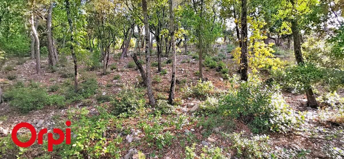 Terrain à LE BEAUSSET